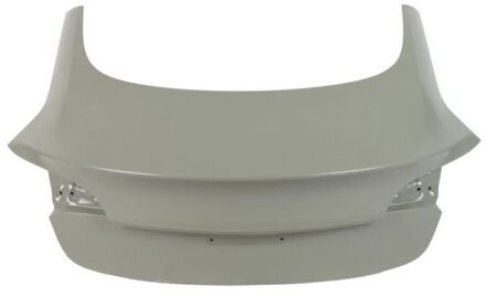 Tesla Kofferruimteklep 6301007703710P