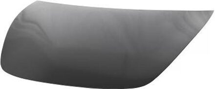 Tesla Motorkap 7930000