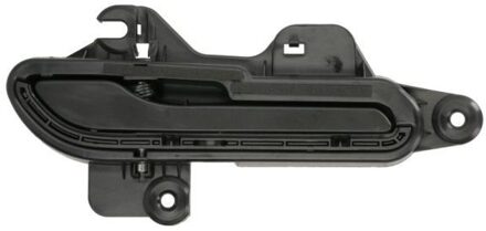 Tesla Portiergreep buitenkant 6010822314402P