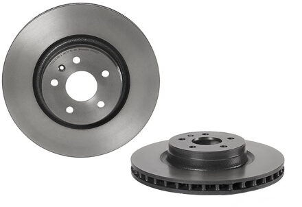 Tesla Remschijf 09N26521