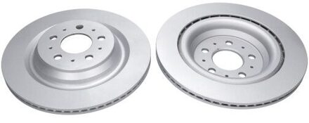 Tesla Remschijf BR10063C