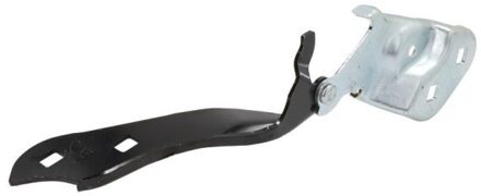 Tesla Scharnier, motorkap 6802007703452P