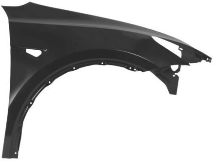 Tesla Spatbord 6504047706312P