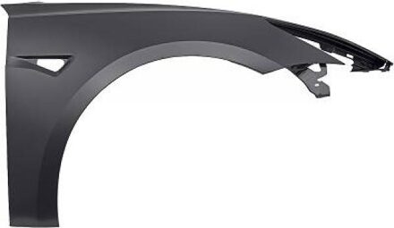 Tesla Spatbord 7930006