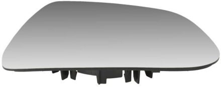 Tesla Spiegelglas, buitenspiegel 6102822314311P