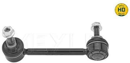 Tesla Stabilisatorstang 70160600010HD