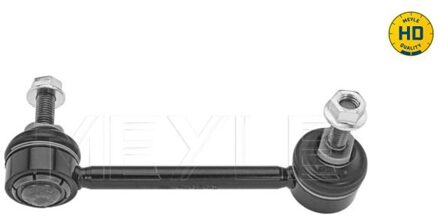 Tesla Stabilisatorstang 70160600011HD