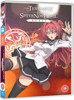 Testament of Sister New Devil Burst