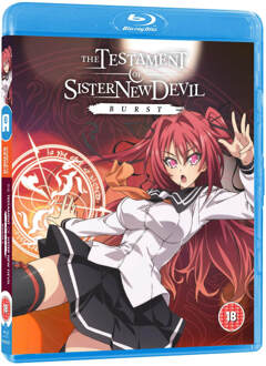 Testament of Sister New Devil Burst