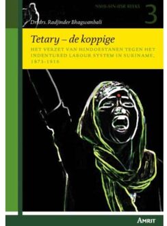 Tetary - de koppige - Boek Radjinder Bhagwanbali (9074897630)