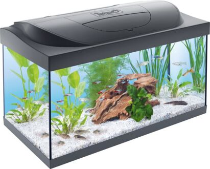 Tetra Starter line - Aquarium - 61x36x32 cm - 54 L
