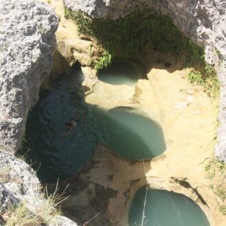 Texas Instruments Texas River Song - Little Mazarn