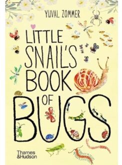 Thames & Hudson Little Snail's Book Of Bugs - Yuval Zommer