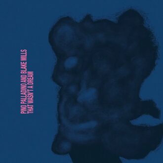 That Wasn't A Dream - Pino Palladino & Blake Mills