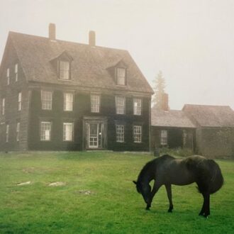 The Academy (Meadow Green Vinyl) - Lutalo