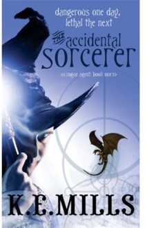 The Accidental Sorcerer