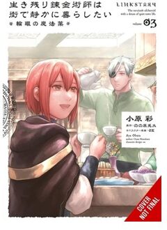 The Alchemist Who Survived Now Dreams Of A Quiet City Life Ii, Vol. 3 (Manga) - Aya Obara