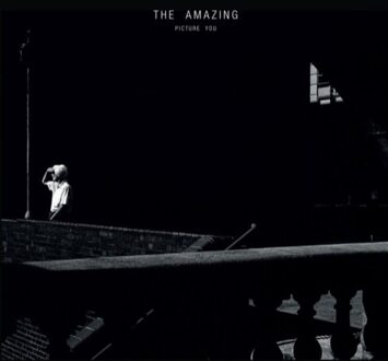 The Amazing - Picture You