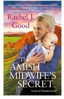 The Amish Midwife's Secret