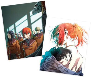 The Ancient Magus’ Bride - Season 2 Part 2