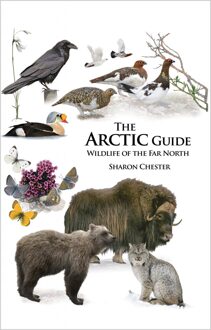 The Arctic Guide