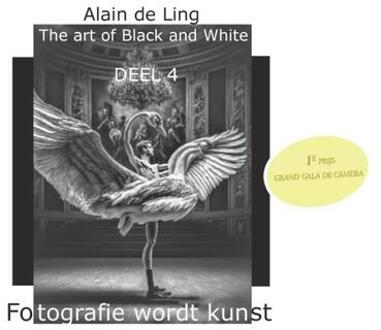 The Art Of Black And White / 4 - Alain De Ling