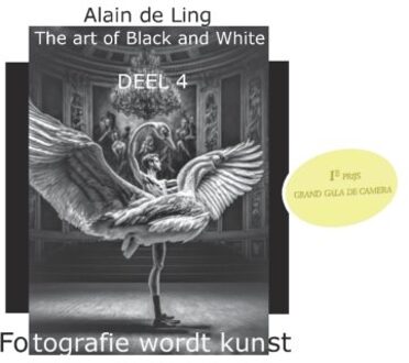 The Art Of Black And White / 4 - Alain De Ling