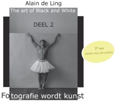 The Art of Black and White