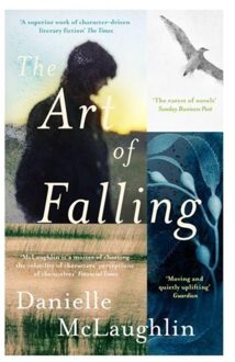 The Art Of Falling - Danielle McLaughlin