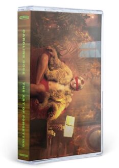 The Art Of Forgetting - Caroline Rose