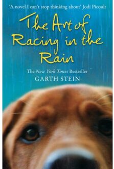 The Art of Racing in the Rain