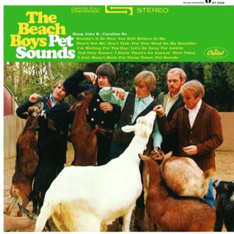 The Beach Boys - Pet Sounds (Stereo Reissue) | LP