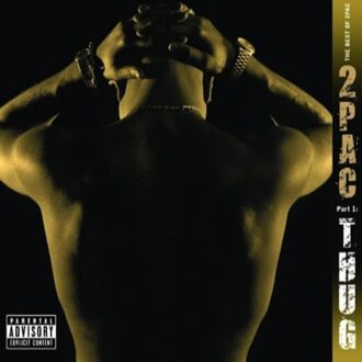 The Best Of 2Pac - Pt.1 Thug