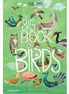 The Big Book of Birds