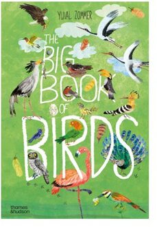 The Big Book of Birds