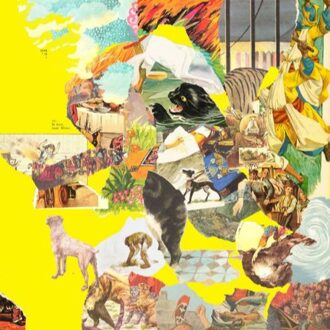 The Big Exercise (Yellow / Loser Edition)