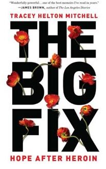 The Big Fix