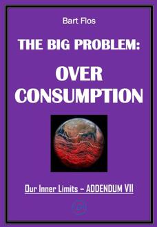 The Big Problem: Overconsumption -  Bart Flos (ISBN: 9789083490816)