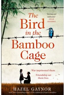 The Bird In The Bamboo Cage - Hazel Gaynor