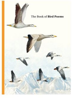 The Book Of Bird Poems - Ana Sampson