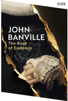 The Book Of Evidence - Picador Collection - John Banville
