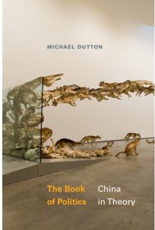 The Book Of Politics - Asia-Pacific: Culture, Politics, And Society - Dutton, Michael