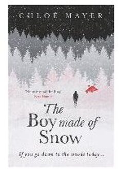 The Boy Made of Snow