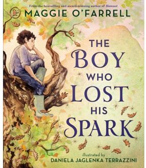 The Boy Who Lost His Spark - Maggie O'Farrell