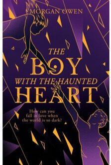 The Boy With The Haunted Heart - The Girl With No Soul - Morgan Owen
