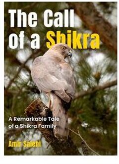 The call of a shikra : a remarkable tale of a shikra family - Amir Salehi
