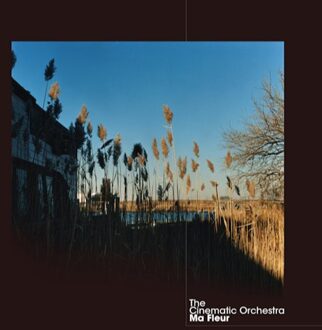 The Cinematic Orchestra - Ma Fleur