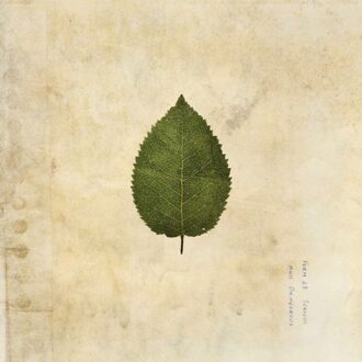 The Cold Still - The Boxer Rebellion