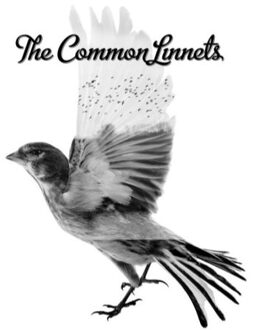 The Common Linnets - The Common Linnets | CD