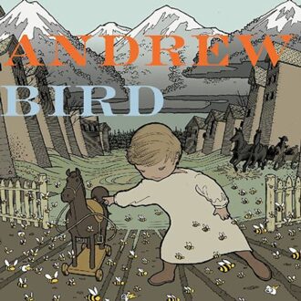 The Crown Salesman - Andrew Bird